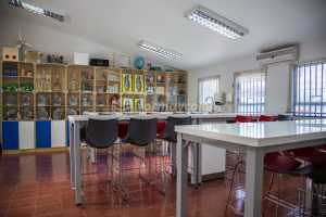 (2019 Ciencias) Colegio Aurora de Chile, Rancagua