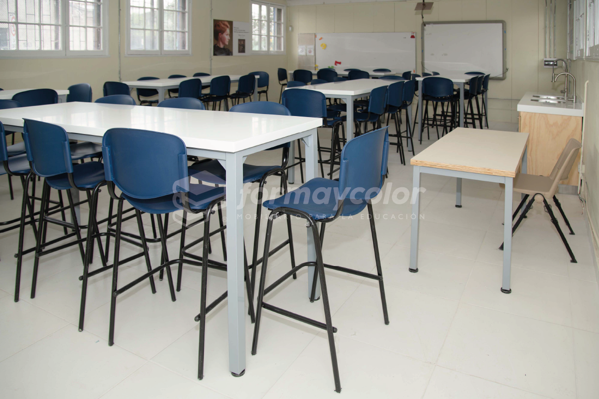 (2023 Ciencias) Colegio Santa Teresita, Independencia