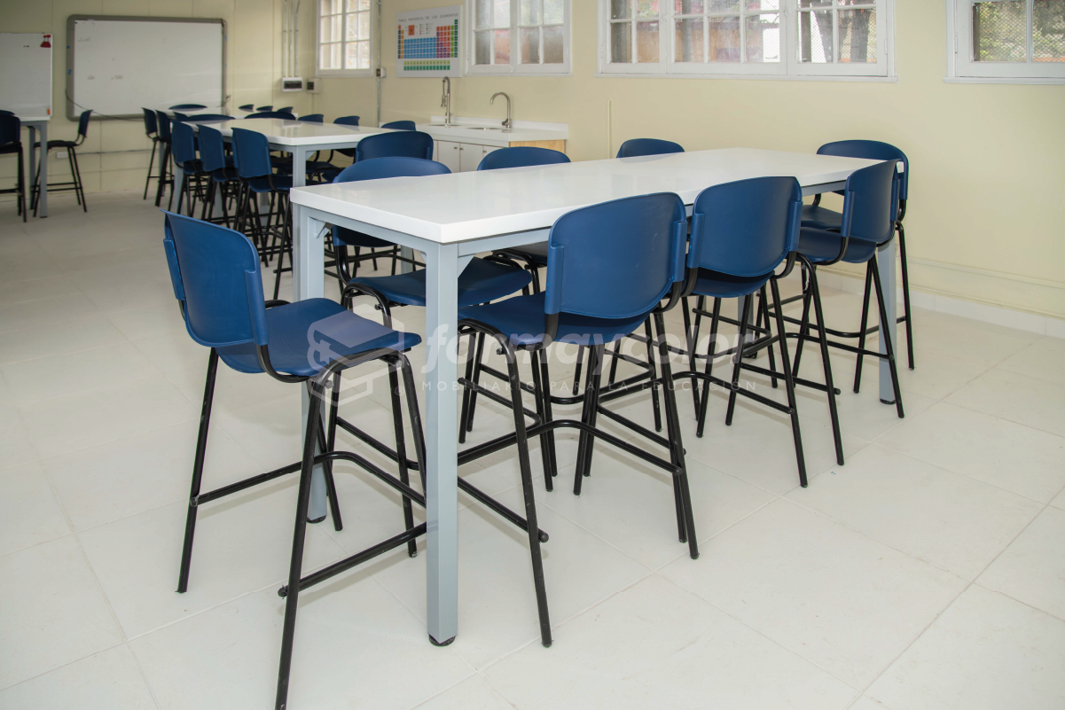 (2023 Ciencias) Colegio Santa Teresita, Independencia